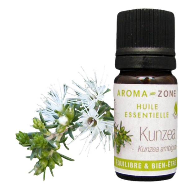 Kunzea ätherisches Öl