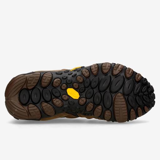 Χαμαιλέοντας Merrell