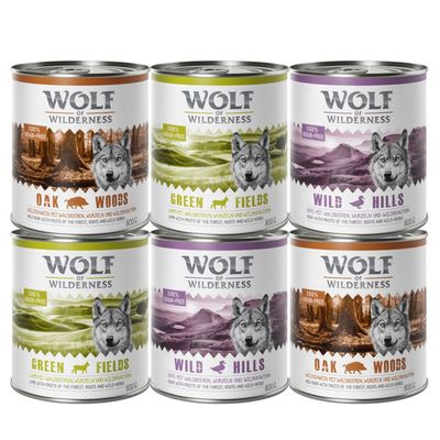 Wolf of Wilderness Adult Saver Pack 24 x 800g