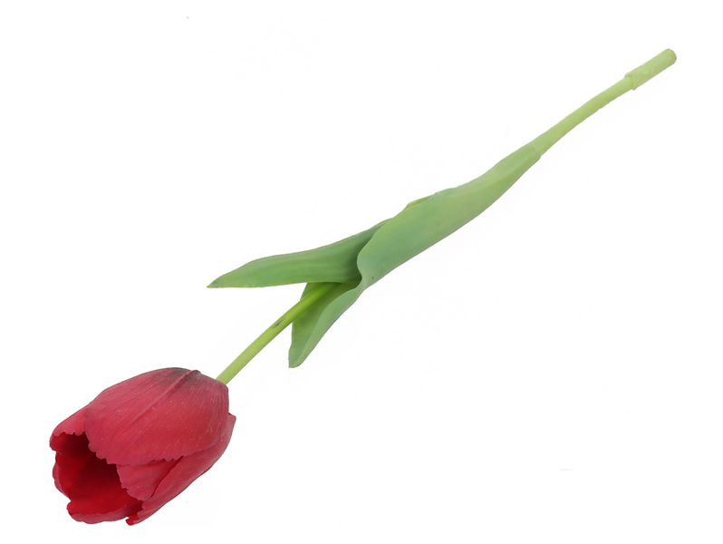 Tulipan pojedynczy 47 cm czerwony