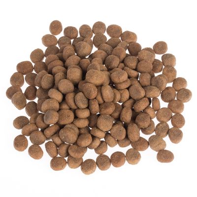 Paquete de prueba de alimento seco para perros Wolf of Wilderness 