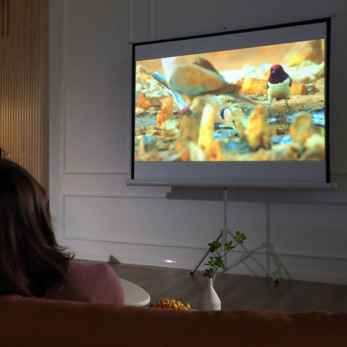 Pantalla de proyección con trípode - HOMCOM - Pantalla de cine en casa plegable, regulable en altura y 4K HD de 84 pulgadas (formato 4:3) - Acero - Blanco