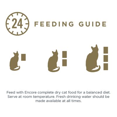 Sachets de gelée pour chat Encore, lot de 5 x 50 g
