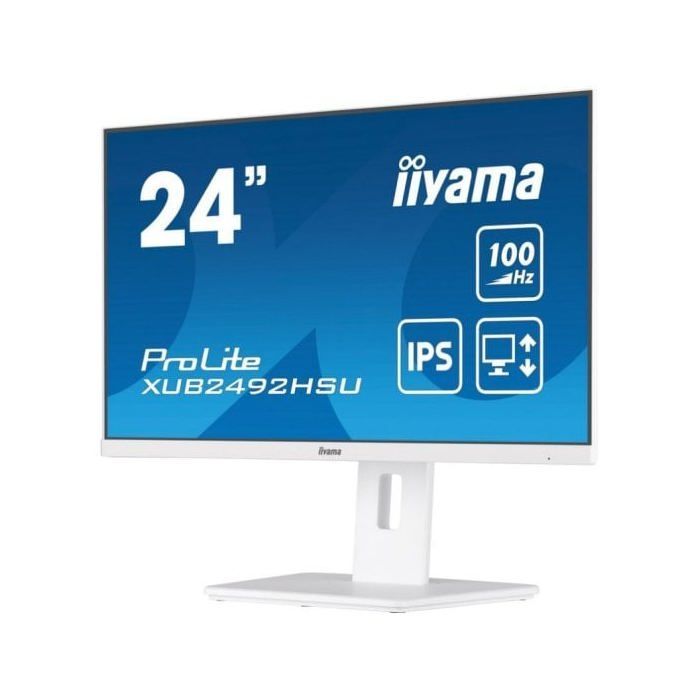 iiyama ProLite XUB2492HSU-W6