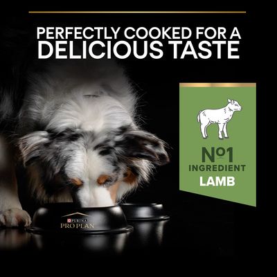 PURINA PRO PLAN Medium Adult Miel și Orez Sensitive Digestion