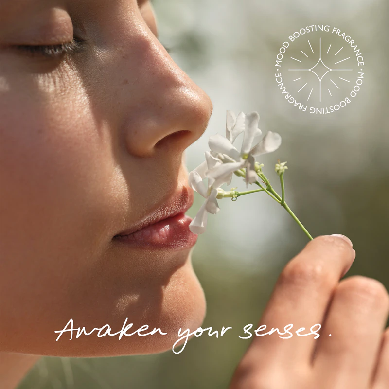 Aromatizador de ambiente em aerossol inspirado na natureza mexicana
