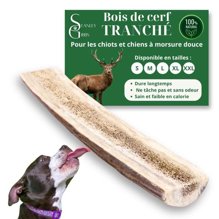 Bois de cerf pour Chien a Macher TRANCH Taille L Friandise pour Chiots et Chiens de Tout ges Jouet Mastication 1 pice