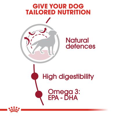 Royal Canin Adulto Medio