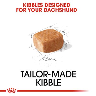 Κουτάβι Royal Canin Dachshund