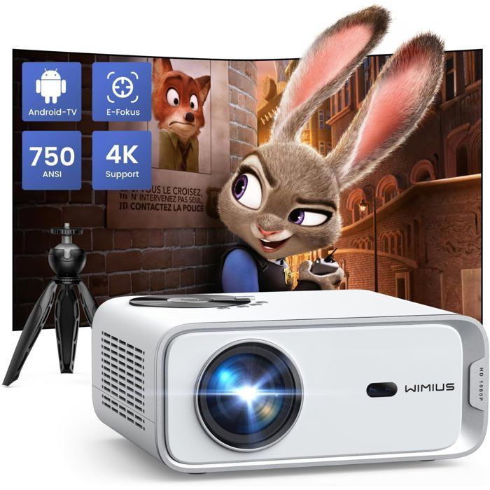 Proyector 4K - TERRITORIOS ZIG-ZAG - 28000 Lúmenes - WiFi 6 - Bluetooth 5.2 - Zoom 50-100%