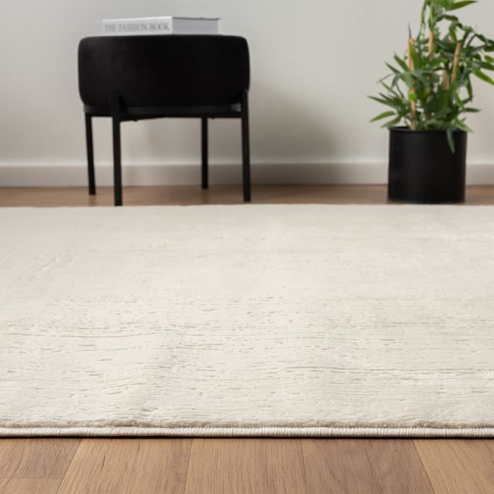 Tapete para interiores - VIMODA - Berber - 120x170 cm - Macio - Creme - Retangular