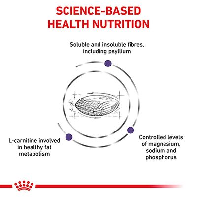 Royal Canin Expert Feline – Sättigungsbalance für kastrierte Katzen