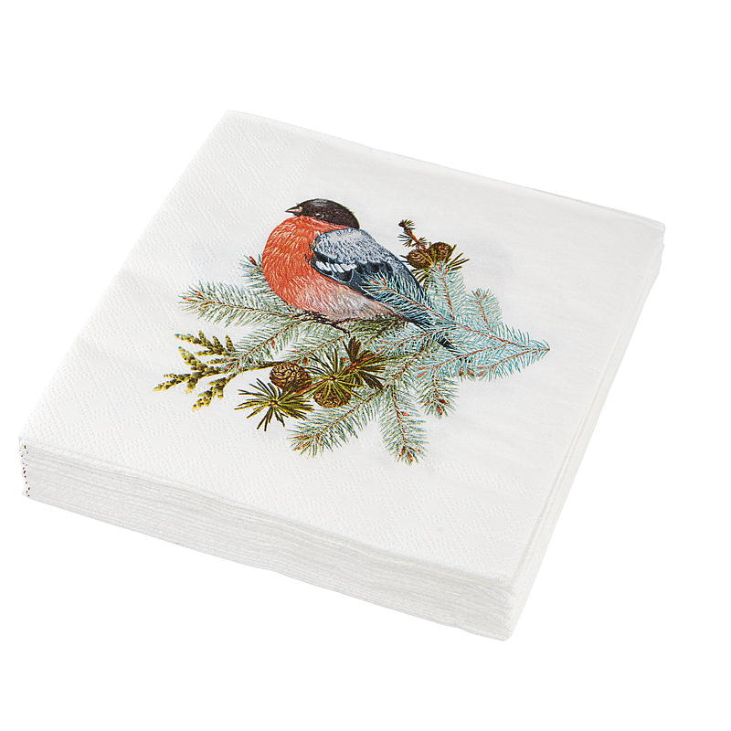 Vie Eco -lautasliinat 20 kpl, 33x33 cm, jouluaihe