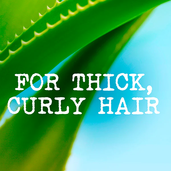 Maui Moisture Curl Quench+ Szampon z olejkiem kokosowym 385 ml