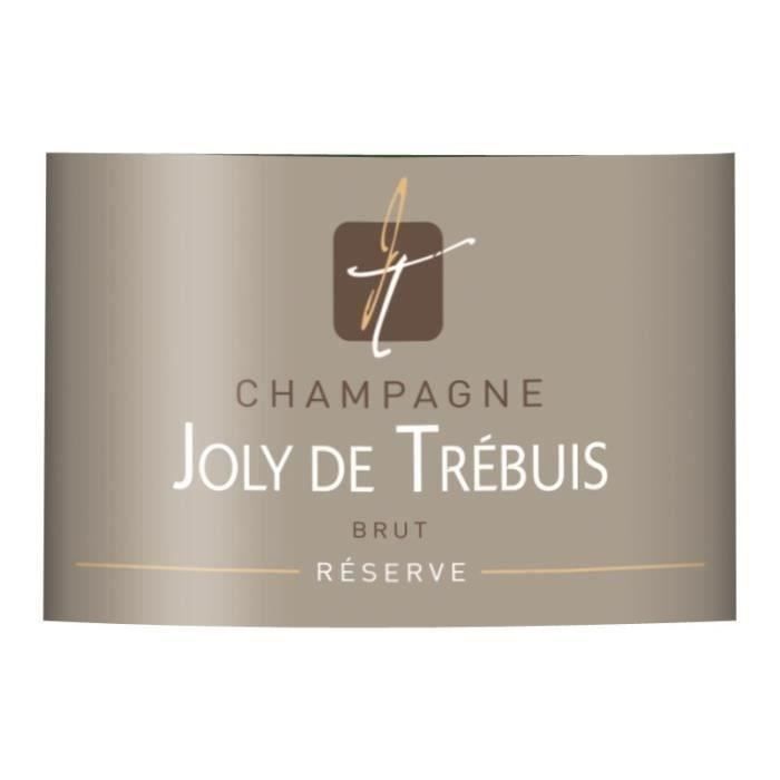 Champagne Joly de Trébuis x6