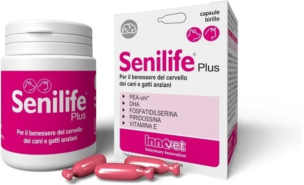 INNOVET Senilife Plus 60 capsules contre le vieillissement cérébral