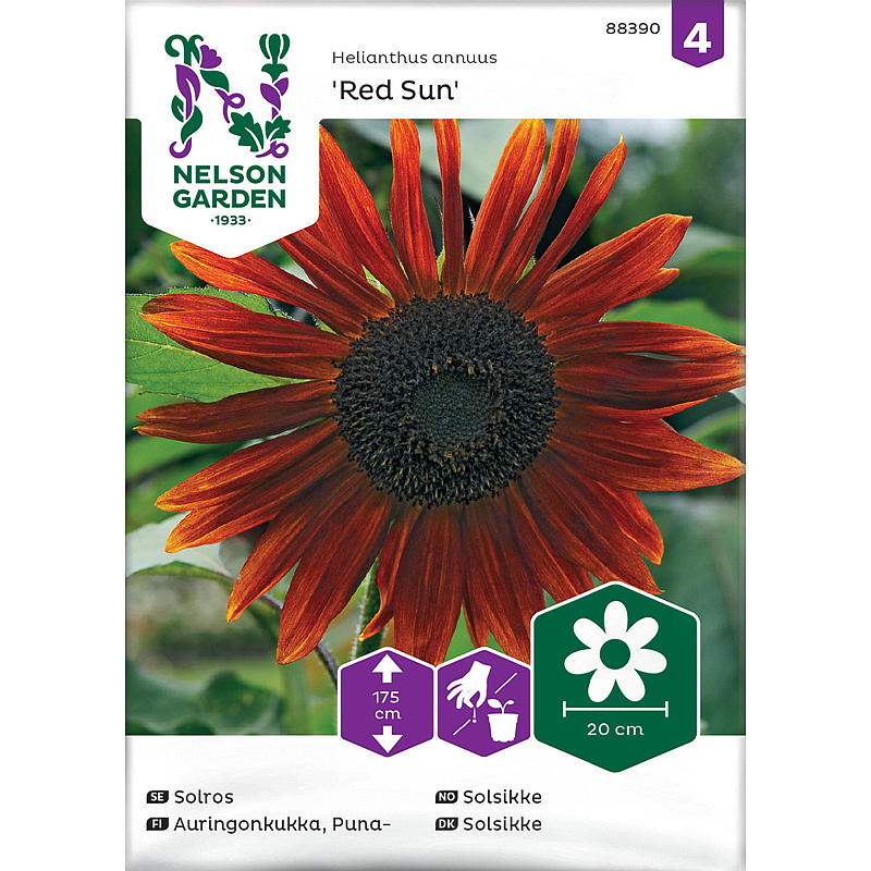 Semi da giardino Nelson Girasole Rosso Sole