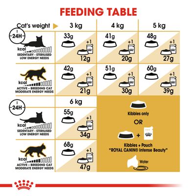 Royal Canin Siamese Adult