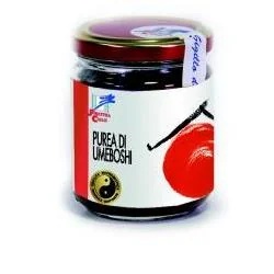 WINDOW TO HEAVEN Purée d'umeboshi bio Window to Heaven 200 g Substitut de sel