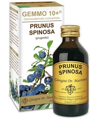 DR. GIORGINI Trnka 100 ml Analco Gemmo10+