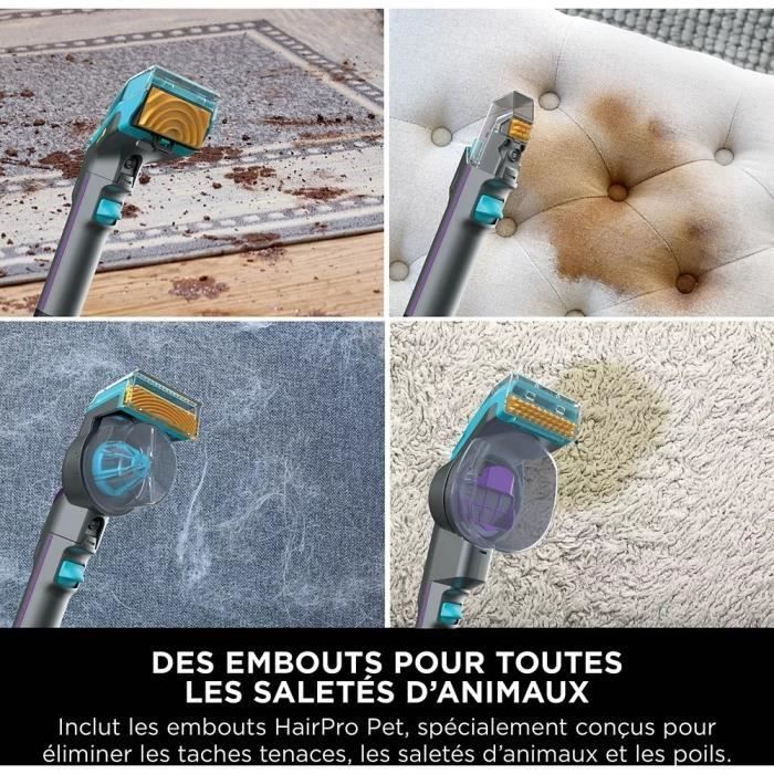 SHARK PX250EUT StainStriker HairPro Quitamanchas para Mascotas - Alfombras, moquetas, muebles, escaleras, coches - 450W - 1,2 L - 1,26 m