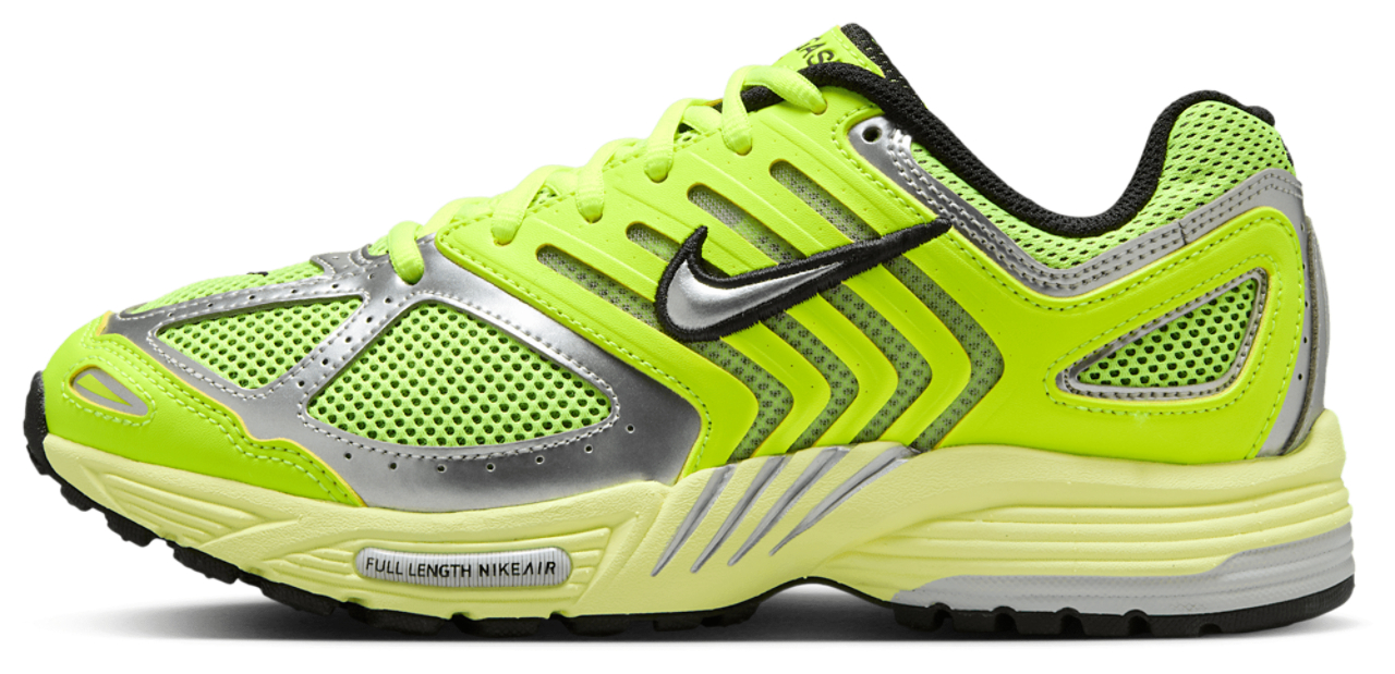 Nike Air Pegasus 2005