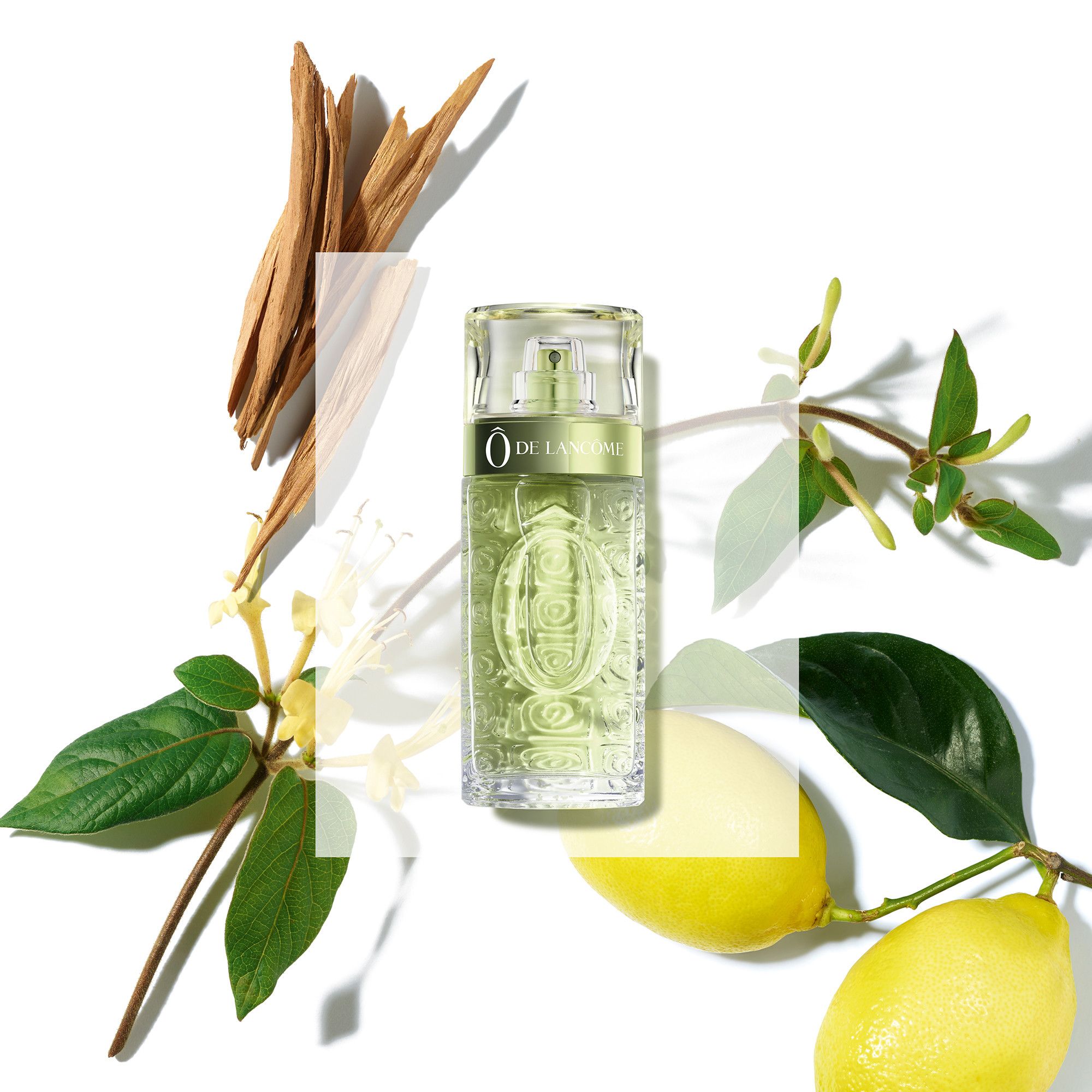 Ô de Lancôme tualetinis vanduo Moteriški kvepalai