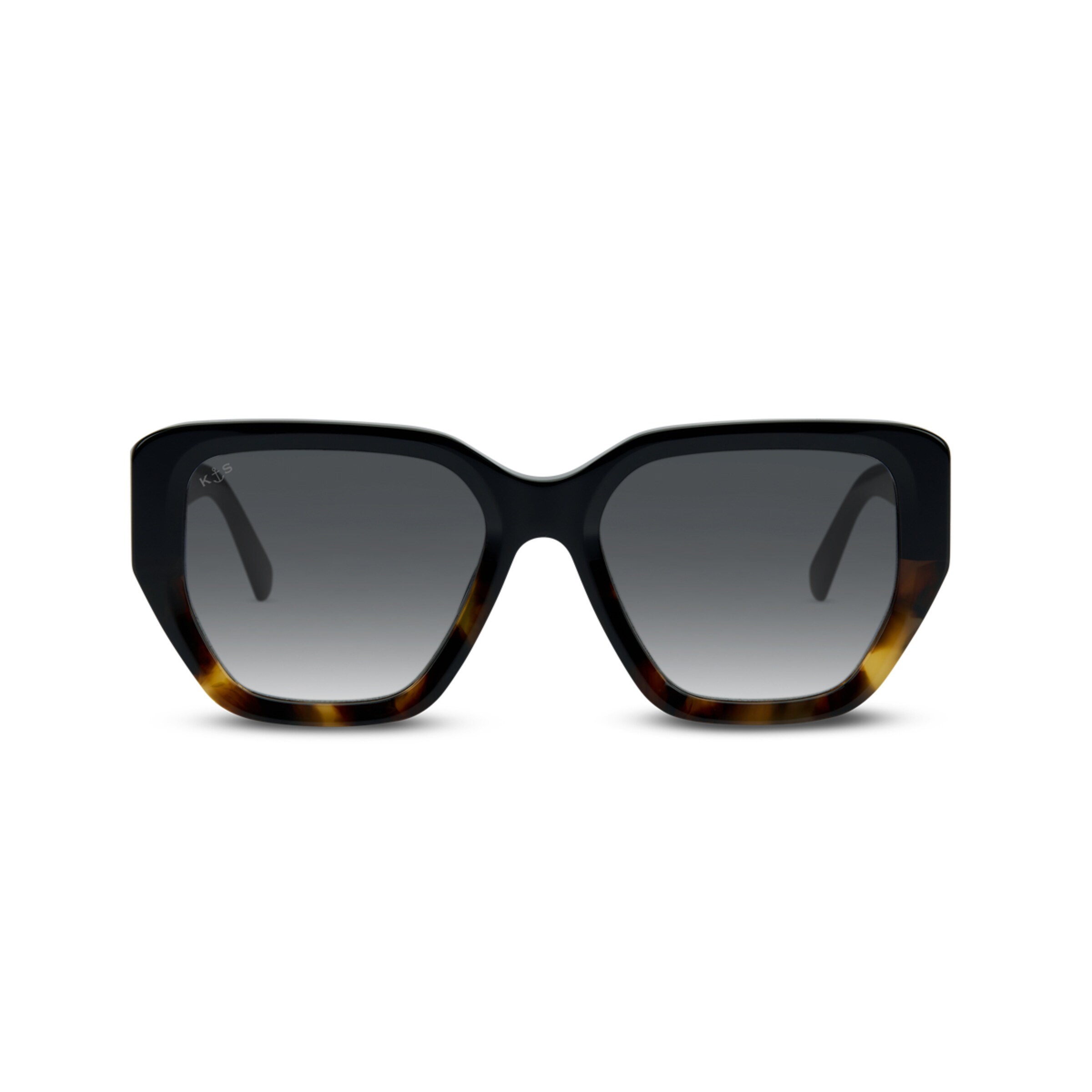 Tortue de Toulon noire