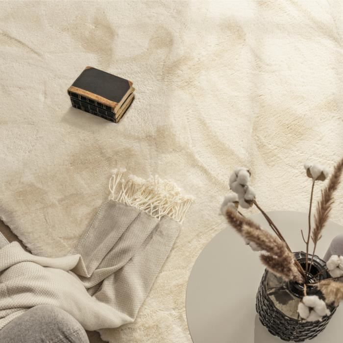 Paco Home Tapis Poils Longs Tapis De Salon Shaggy Imitation Fourrure Lapin Moelleux Crème 60x100 cm