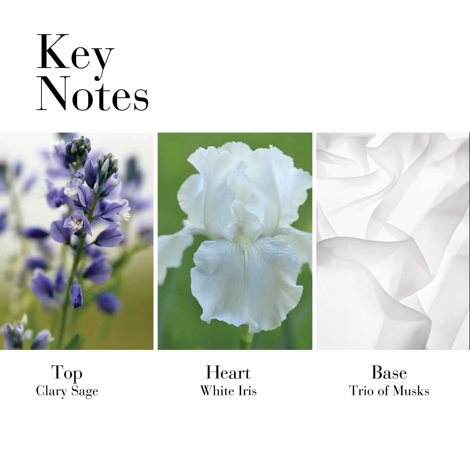 Elizabeth Arden White Tea Woda toaletowa dla kobiet 50 ml