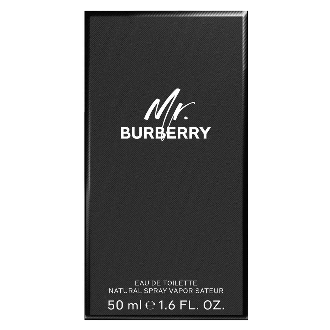 BURBERRY Mr. Burberry toaletna voda - 50 ml