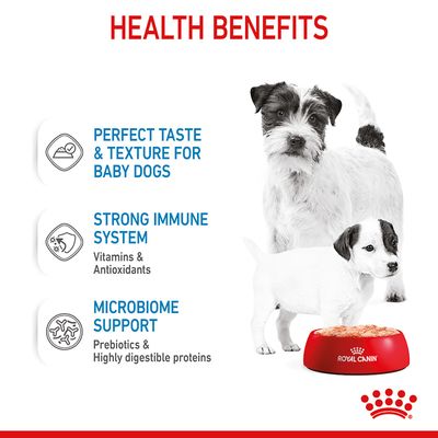 Mousse Royal Canin Starter per Mamma e Cucciolo