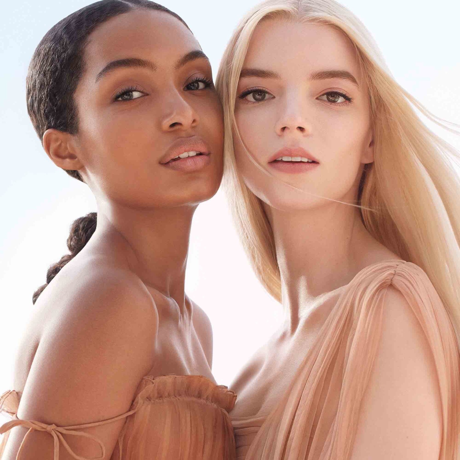 DIOR Blush joues et pommettes - Longue tenue