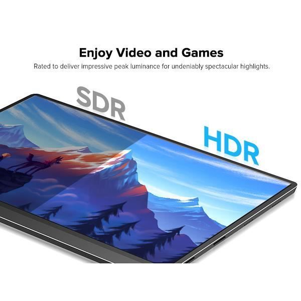 Pantalla táctil portátil - CDISPLAY - 15,6
