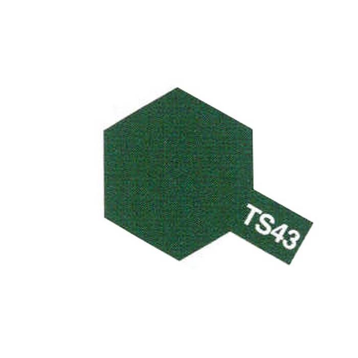 TS43 - Aerosol - 100 ml: Verde brillante de carreras