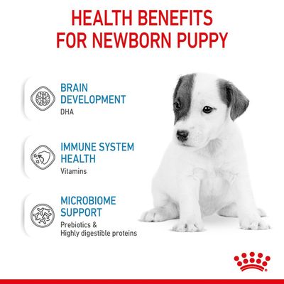 Royal Canin Babyhundmilch