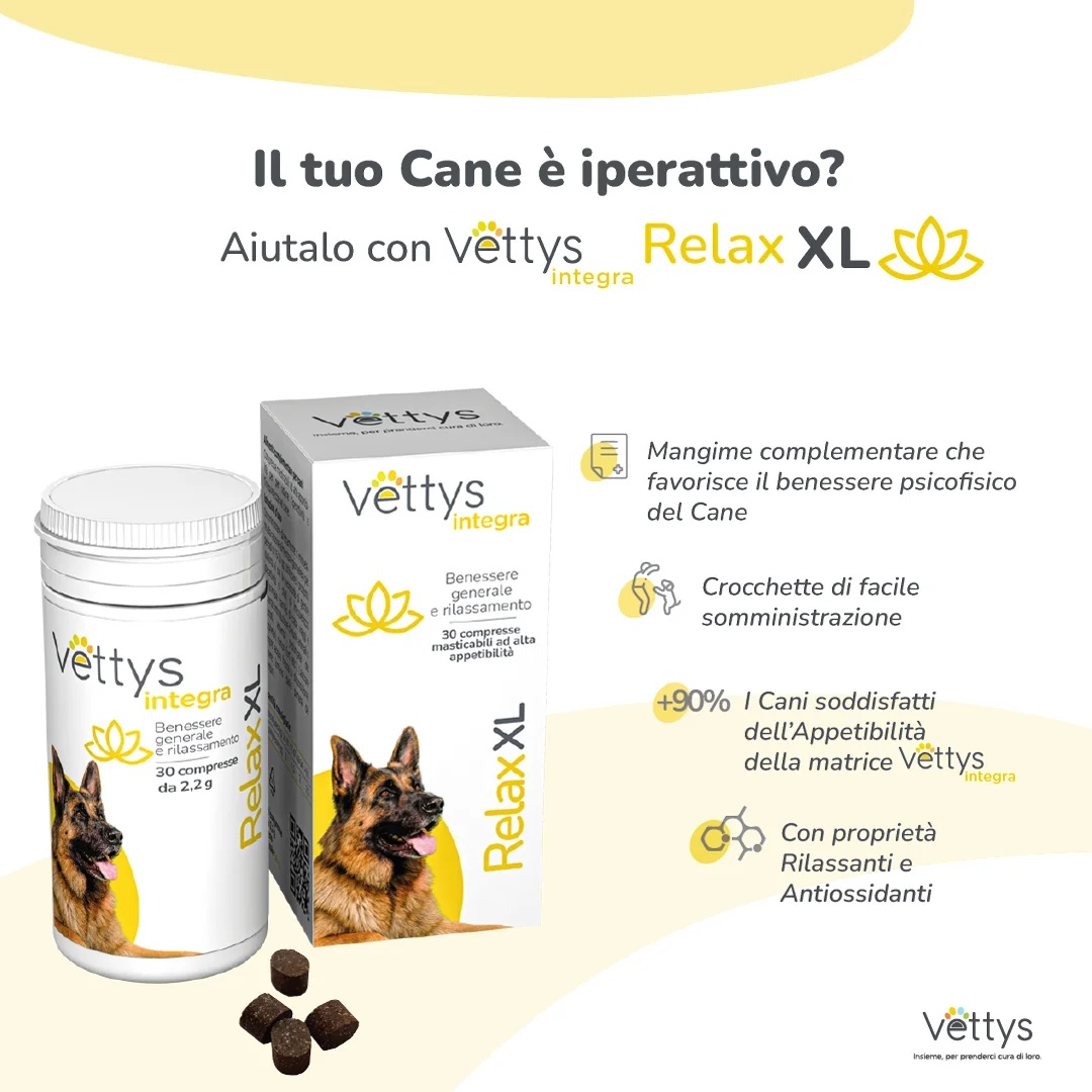 VETTYS Vettys Integra Relax XL 30 tabletten