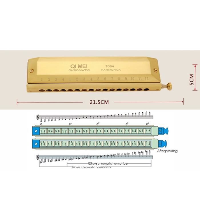 Armónica cromática QI MEI de 16 orificios, 64 sonidos, órgano de boca, clave de Do, instrumentos musicales profesionales.