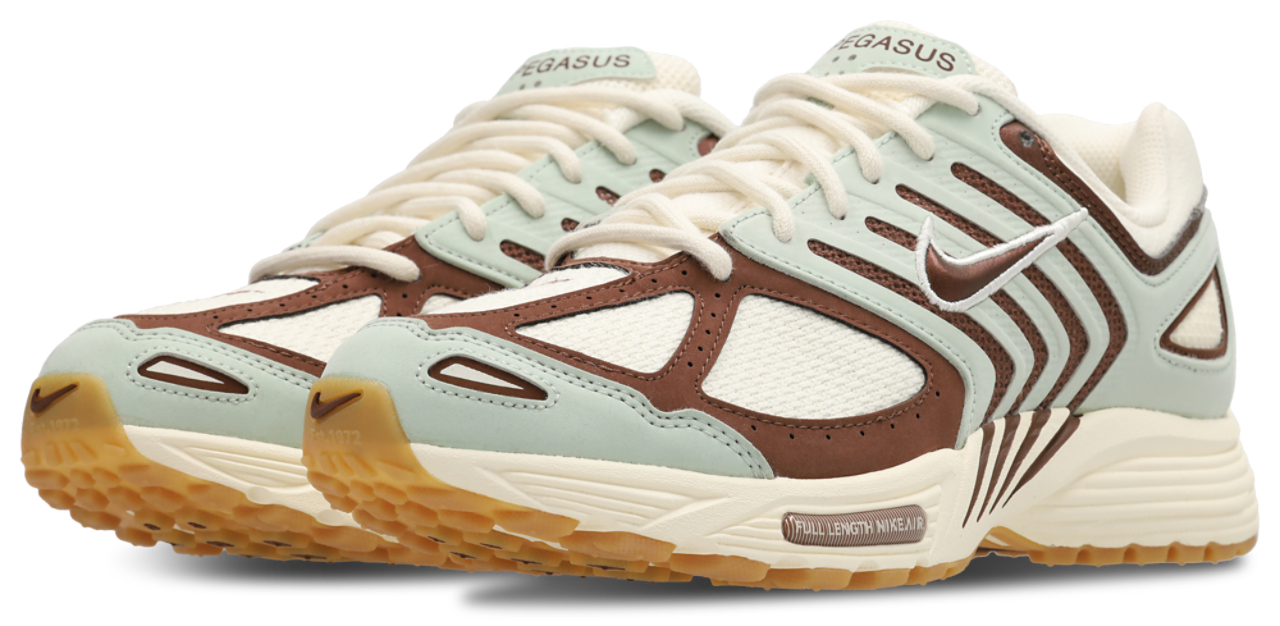 Nike Pegasus 2005