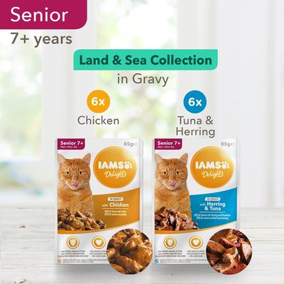 IAMS Delights Senior Land & Sea Collection in Gravy