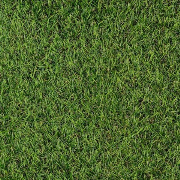 Gazon synthétique - Rebgreen - 15mm - 2x8m - Résistant aux UV - Aspect lumineux