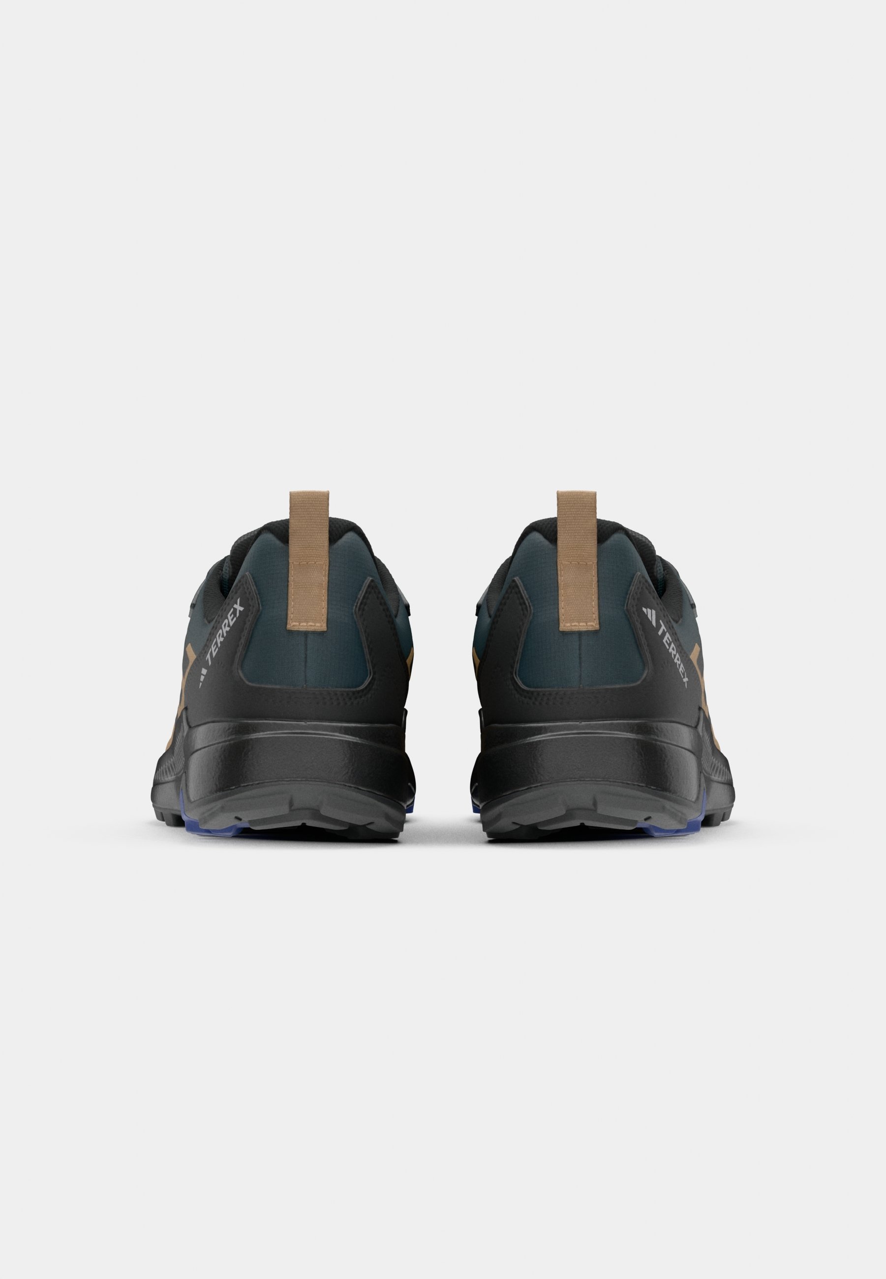 Adidas Terrex ANYLANDER R.RDY - Hiking shoes - aurora ivy/core black/cardboard