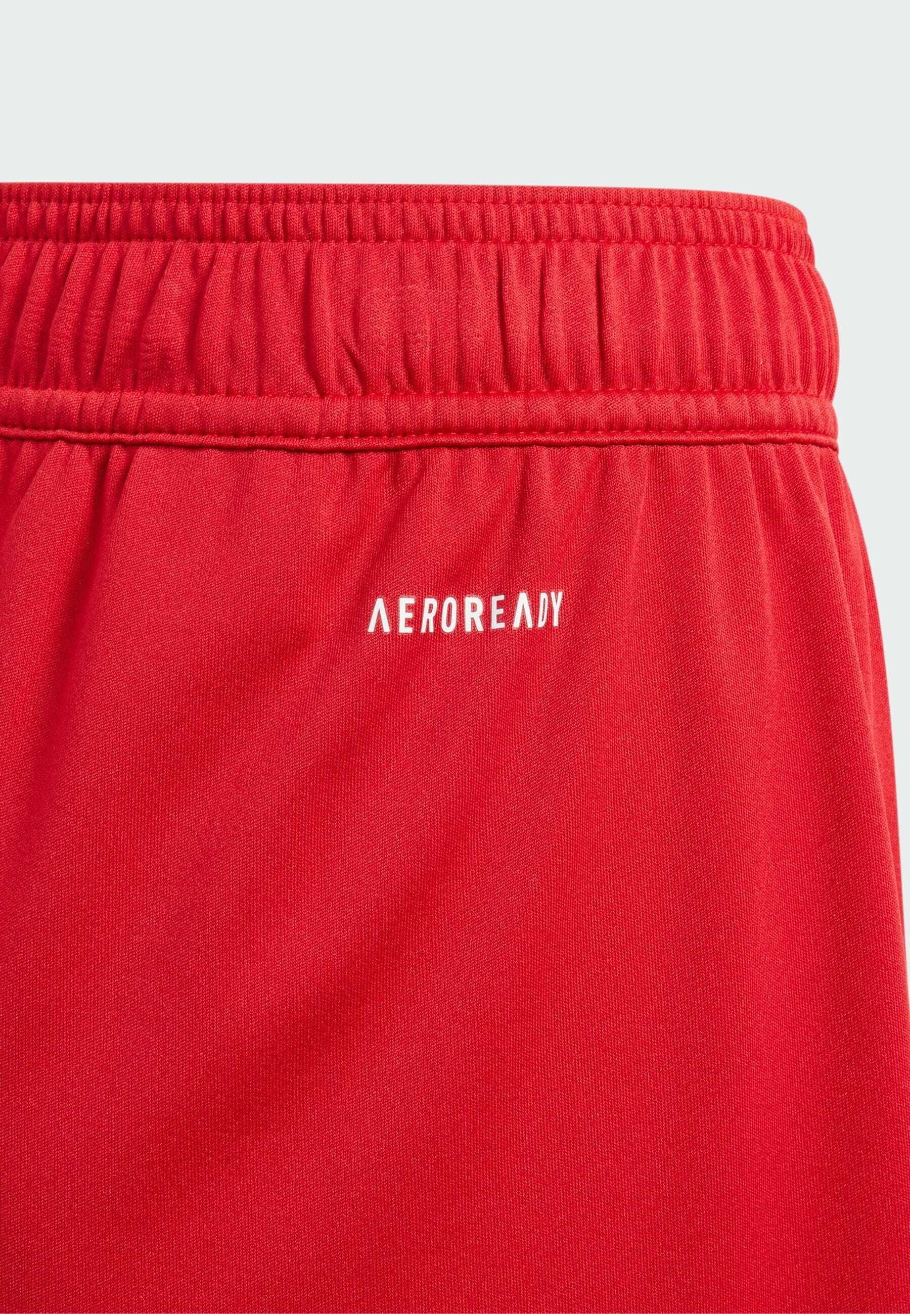adidas Performance FORTORE - Sportshorts - roodweiss