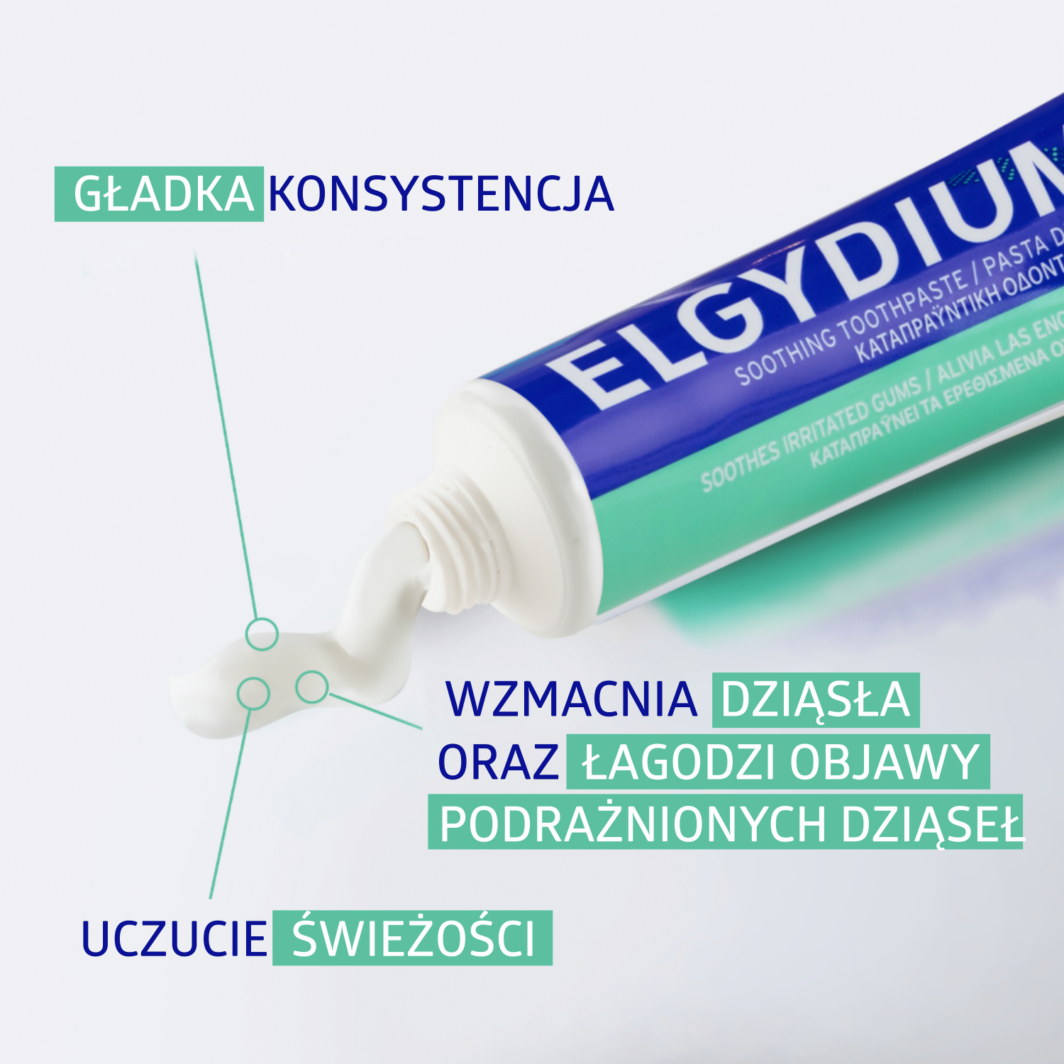 Ελγύδιο