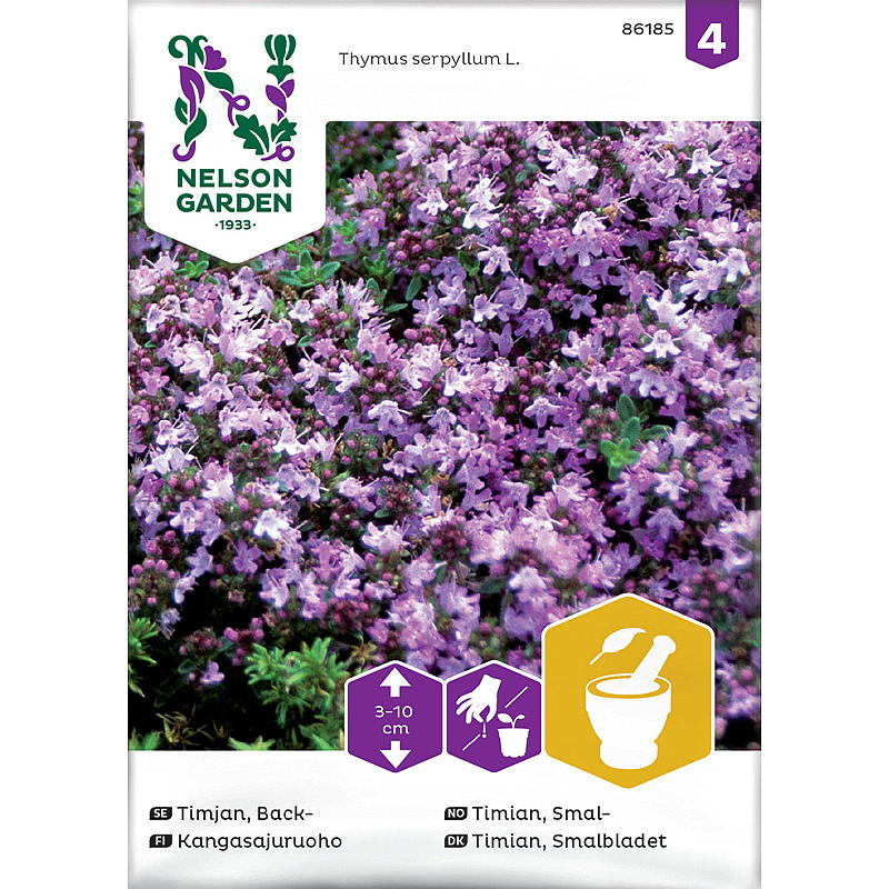 Nelson Gartensamen Thymian Schmal