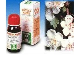 SPECCHIASOL Meidoorn 10 50 ml Moedertinctuur