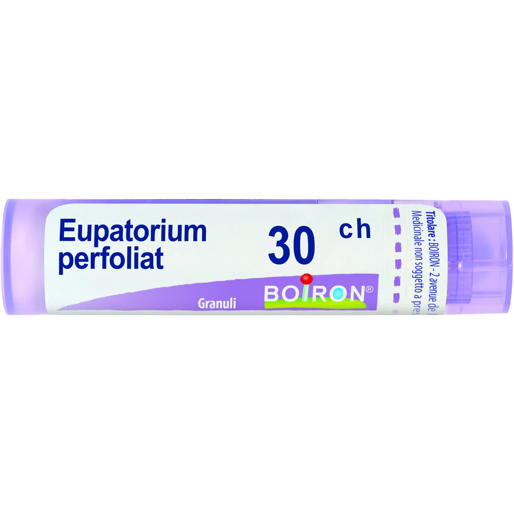 BOIRON Eupatorium Perfoliatum 30 Ch