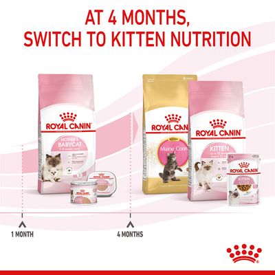 Royal Canin Mutter & Babykatze