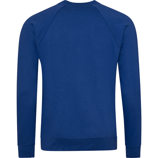 Sudadera Con Mangas Raglan Awdis Academy