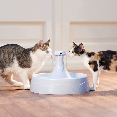 Σιντριβάνι για γάτες PetSafe® Drinkwell® - 360